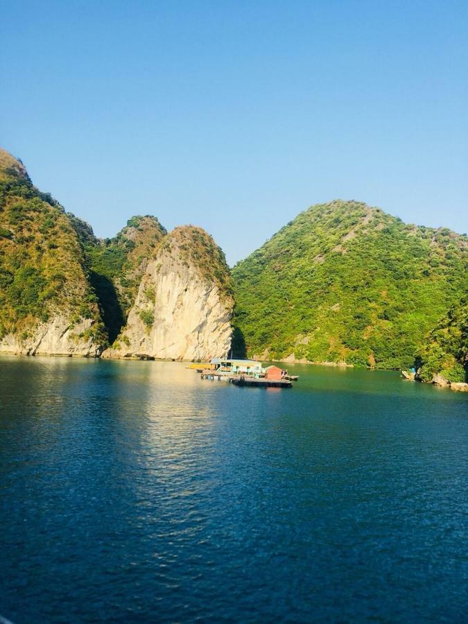 下龍 Flamingo Luxury Cruises酒店 外观 照片